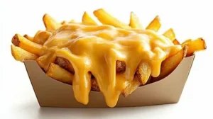 Cheese French Fries